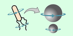 Designing Novel Artificial Microswimmers